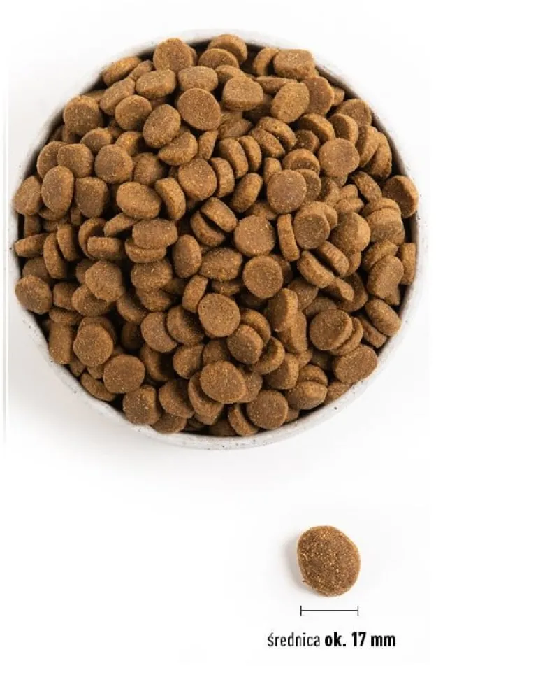 ACANA Adult large breed 17 kg