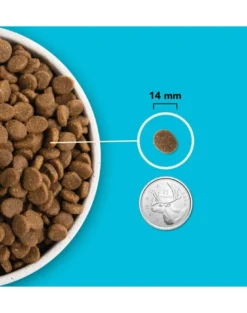 ACANA Pacifica Dog 2 kg