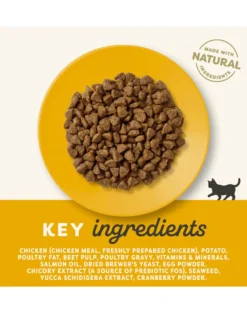 APPLAWS Kitten alimento senza cereali con pollo per gattini 2kg