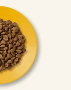 APPLAWS Kitten alimento senza cereali con pollo per gattini 400g