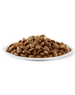 APPLAWS Kitten alimento senza cereali con pollo per gattini 400g