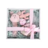 BARRY KING Set regalo per cani 5in1 rosa