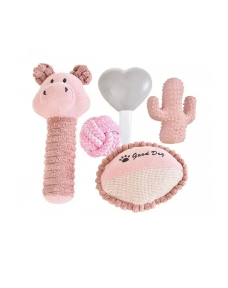 BARRY KING Set regalo per cani 5in1 rosa