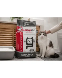 BAZYL Ag+ Compact White 10 L