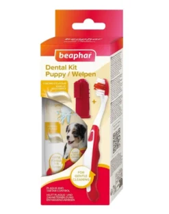 BEAPHAR Puppy Dental Kit spazzolino e dentifricio 50 g per cuccioli