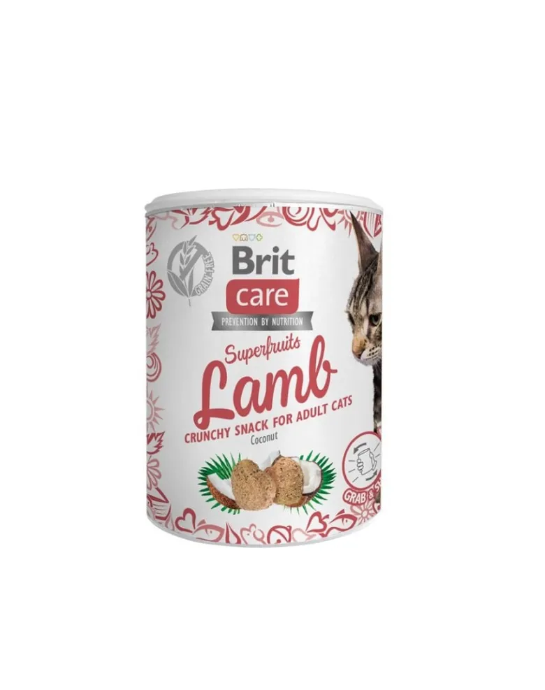 BRIT Care Cat Snack Superfruits lambper gatti adulti 100 g
