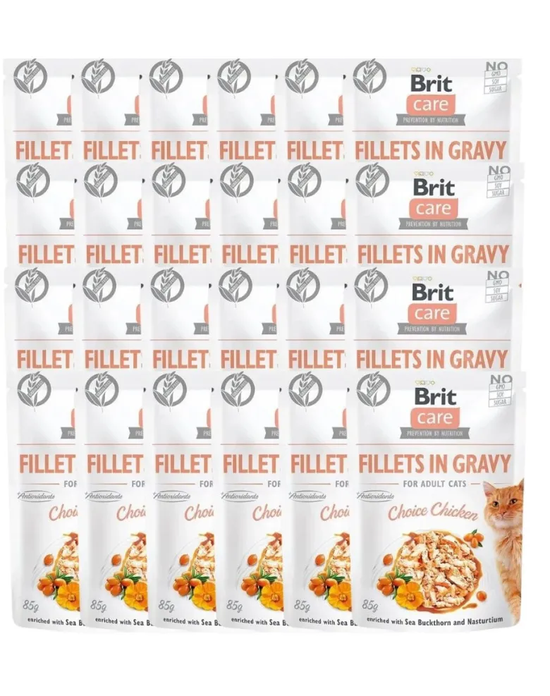 BRIT Care Filetti in salsa Pollo 24 x 85g