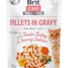 BRIT Care Filetti in salsa Tacchino e Salmone 24 x 85g