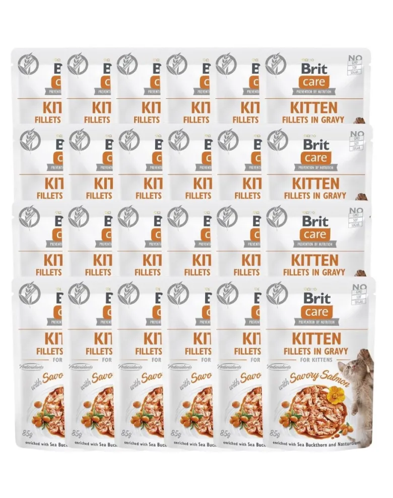 BRIT CARE Fillets in Gravy Pouch Kitten Savory Salmon 24x85g con salmone per gattini