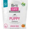 BRIT Care Grain-free Puppy con salmone 1kg