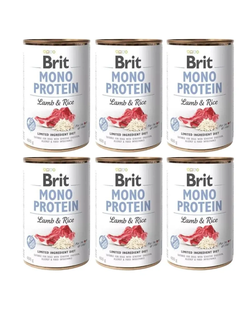 BRIT Mono Protein Lamb & Rice 6 x 400g alimento monoproteico con agnello e riso