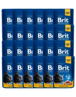 BRIT Premium Cat Adult Salmon and Trout 24 x 100g