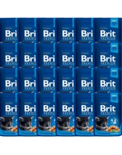 BRIT Premium Kitten pollo per gattini 24 x 100 g