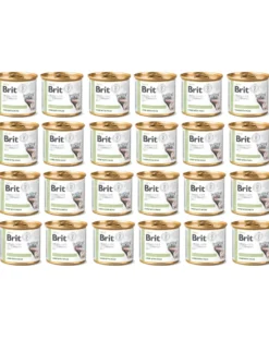 BRIT Veterinary Diet Diabetes Lamb&Pea 24x200g