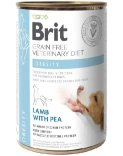 BRIT Veterinary Diet Obesity Lamb&Pea 24x400g