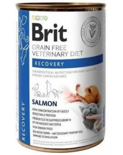 BRIT Veterinary Diet Recovery Salmon per cani e gatti 400g