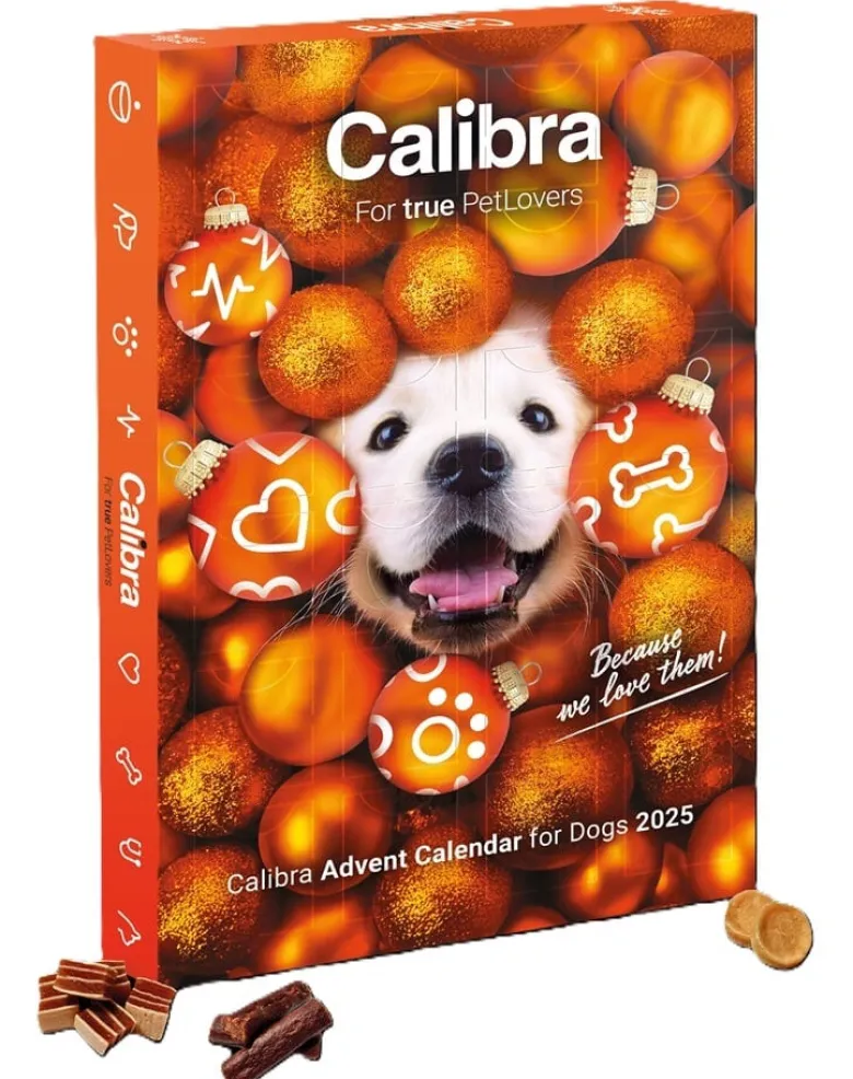 CALIBRA Calendario dell'Avvento con snack di carne per cani