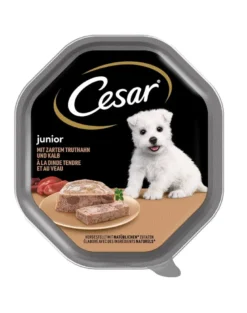 CESAR Junior in vaschetta 150g Paté con tacchino e vitello per cuccioli