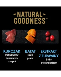 CESAR Natural Goodness ricco di pollo con patate dolci, piselli e mirtilli rossi 12 x 400g