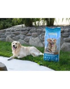 DIVINUS Complete alimento vitaminico e minerale per cani schizzinosi 20 kg