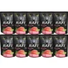 DOLINA NOTECI Rafi Cat con salmone 10 x 300g