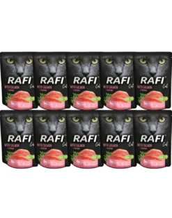 DOLINA NOTECI Rafi Cat con salmone 10 x 300g