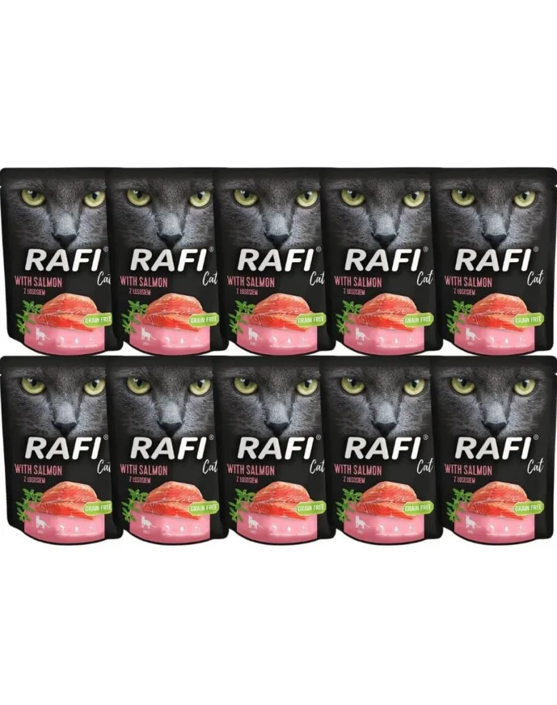DOLINA NOTECI Rafi Cat con salmone 10 x 300g