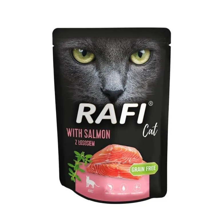 DOLINA NOTECI Rafi Cat con salmone 10 x 300g