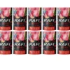 DOLINA NOTECI RAFI con manzo, mirtilli e mirtilli rossi 10 x 500g