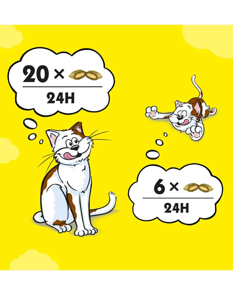 DREAMIES Variety Snack Box Croccantini per gatti al gusto di pollo, formaggio e salmone 12x60 g