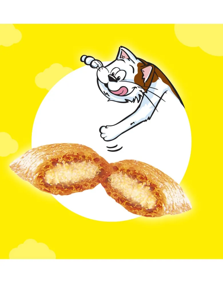 DREAMIES Variety Snack Box Croccantini per gatti al gusto di pollo, formaggio e salmone 12x60 g