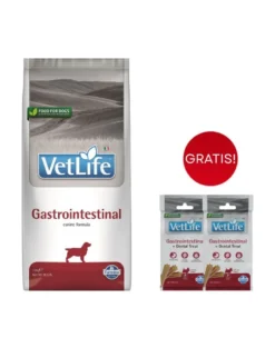 FARMINA Vet Life Gastrointestinal Dog 12kg mangime per cani con problemi digestivi + 2 confezioni di FARMINA Vet Life Dental Treat Gastrointestinal Mini da 60 g (7 pezzi) GRATIS!