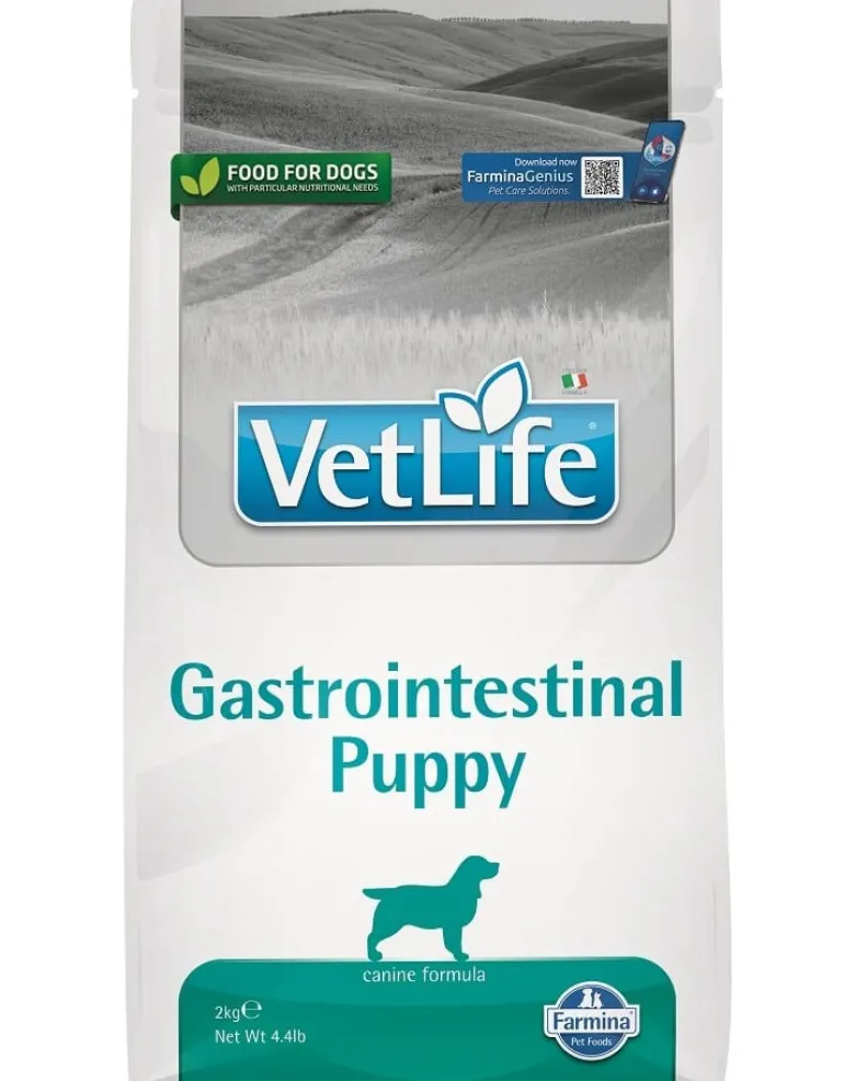 FARMINA Vet Life Gastrointestinal Puppy 2kg