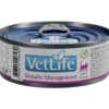 FARMINA Vet Life Natural Diet Cat Struvite Management 85 g