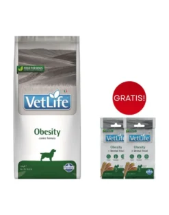 FARMINA Vet Life Obesity Dog 12 kg alimento per cani in sovrappeso + 2 x FARMINA Vet Life Dental Treat Obesity Mini 60 g (7 pezzi) GRATIS!