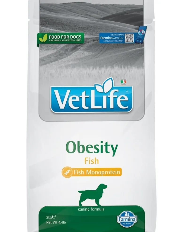 FARMINA Vet Life Obesity Fish alimento per cani adulti 2 kg + FARMINA Vet Life Dental Treat Obesity Medium/Maxi 100 g (7 pezzi) GRATIS!