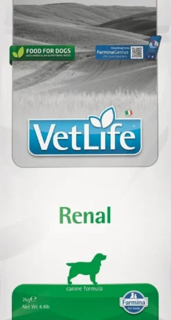 FARMINA Vet Life Renal Dog 2 kg alimento per cani con malattie renali + FARMINA Vet Life Dental Treat Renal Medium/Maxi 100 g (7 pezzi) GRATIS!
