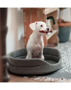 FERA Letto ovale per cani 75x62x22 cm grigio
