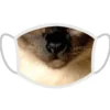 FERA Maschera protettiva gatto siamese