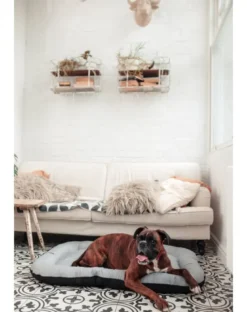 FERA Sky Ponton letto per cani M 88 x 62 cm