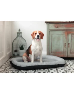 FERA Sky Ponton letto per cani S 74 x 46 cm