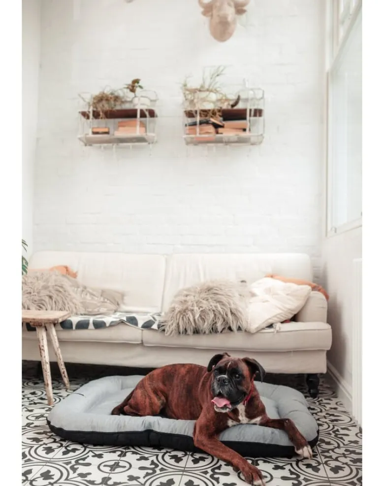 FERA Sky Ponton letto per cani S 74 x 46 cm