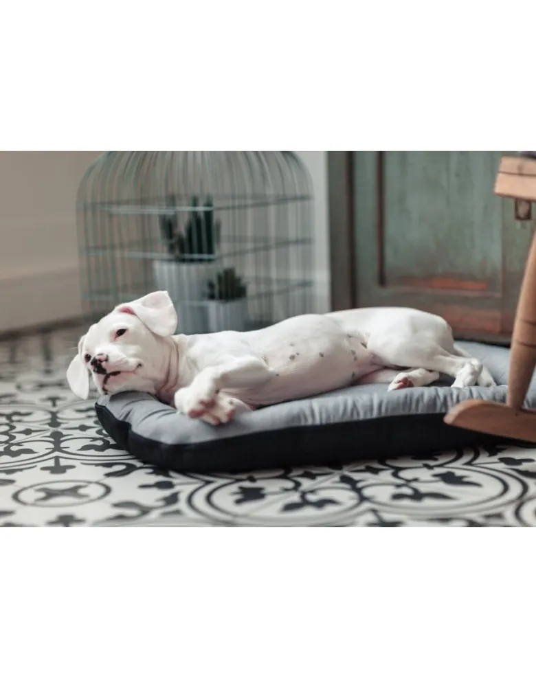 FERA Sky Ponton letto per cani S 74 x 46 cm