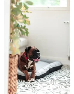 FERA Sky Ponton letto per cani XL 116 x 83 cm