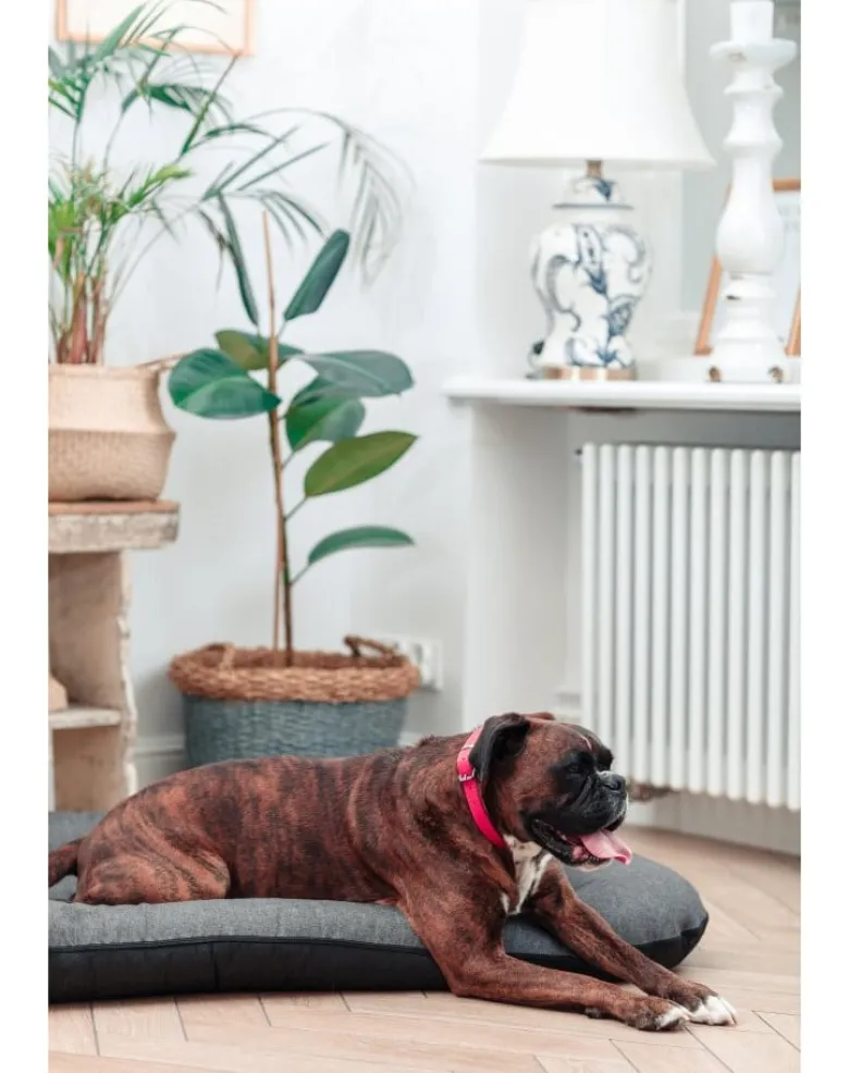 FERA Sunset Ponton letto per cani M 82 x 57 cm