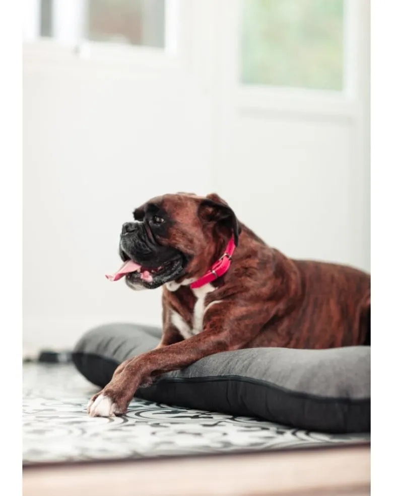 FERA Sunset Ponton letto per cani M 82 x 57 cm