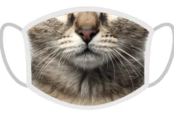 FERA 3x Mascherina Gatto