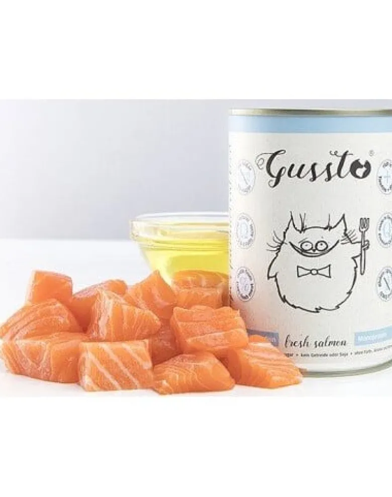 GUSSTO Fresh Salmon - salmone fresco 6x400 g