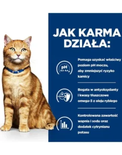 HILL'S Prescription Diet Feline C/D Multicare Urinary care con salmone 12x85g