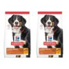 HILL'S Science Plan Adult Dog Large Dry Chicken 28 kg (2x14 kg)